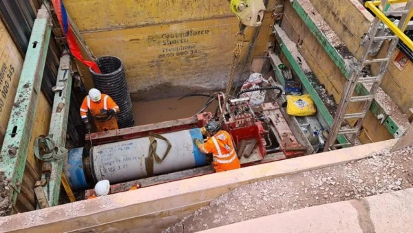 Lister Drive Greener Grid Park 3